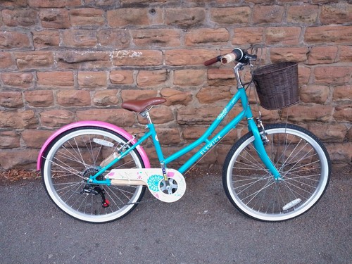 New elswick eternity - elswick, 24"