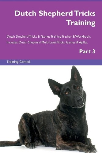 Dutch shepherd tricks training - dutch,