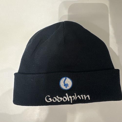 Godolphin beanie hat - beanie,