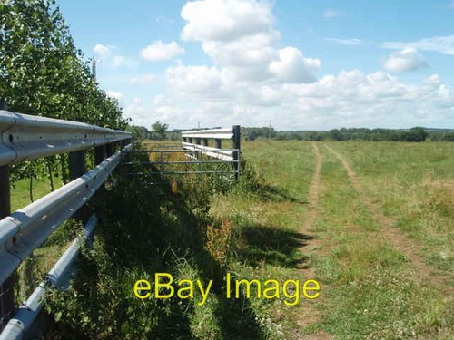 Photo 6x4 cattle handling - 6x4,