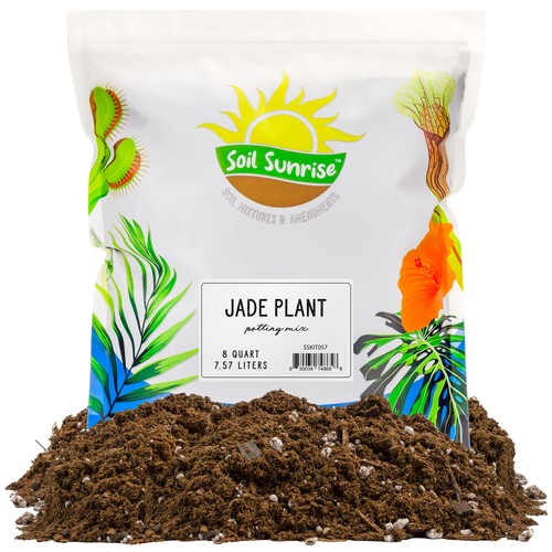 Jade plant potting - jade,