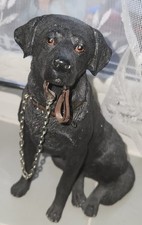 Black Labrador 18cm Ornament Figurine Quality Lifelike Leonardo Range