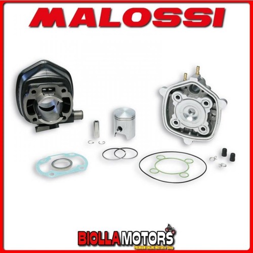 318556 malossi 50cc cylinder - 318556,