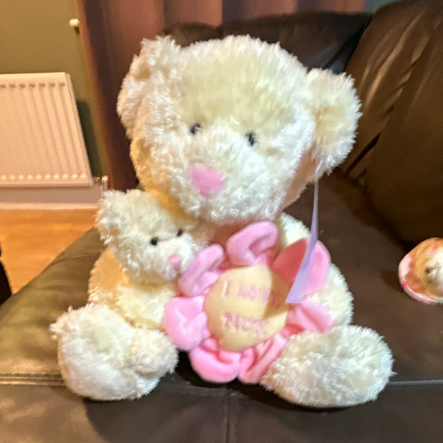 Large white pink plush teddy - large, white/pink