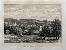 1883 antique print dorking - print;,