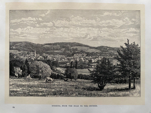 1883 antique print - 1883,