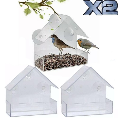 Window bird feeder wild - x,