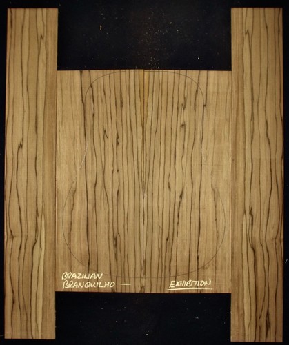 Guitar luthier tonewood - guitar,
