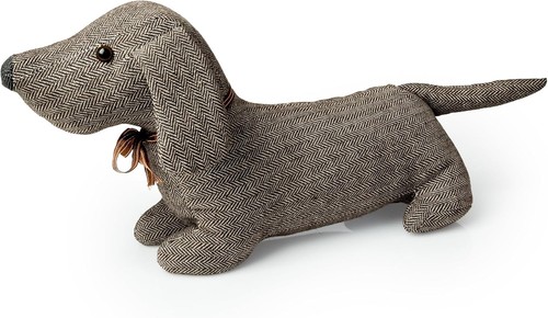 Blue canyon jack dog - jack,