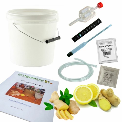 Ginger beer making starter - making,