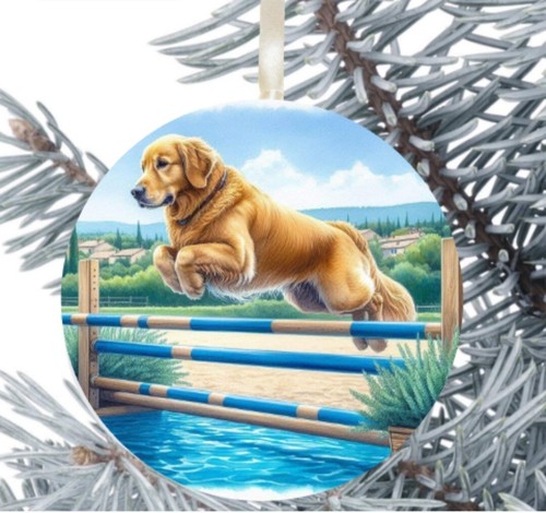 Golden retriever dog hanging - dog,