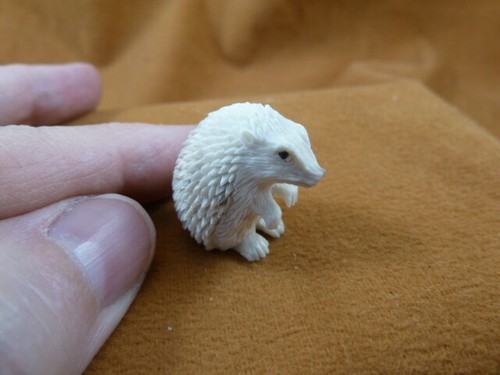 Hed little white - hed-w3,