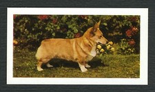 CORGI WELSH PEMBROKE CORGI