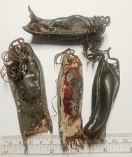 FOUR Mermaid's Purses Dogfish egg cases