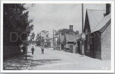 Vintage Postcard Lambseth