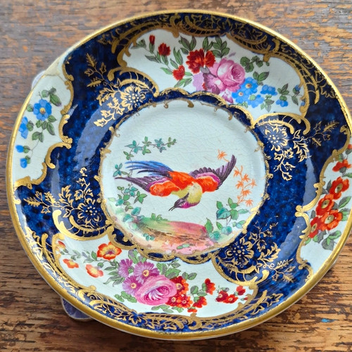 Blue white gold bird and - blue,,