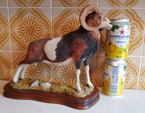 Wildtrack mouflon wild - -,