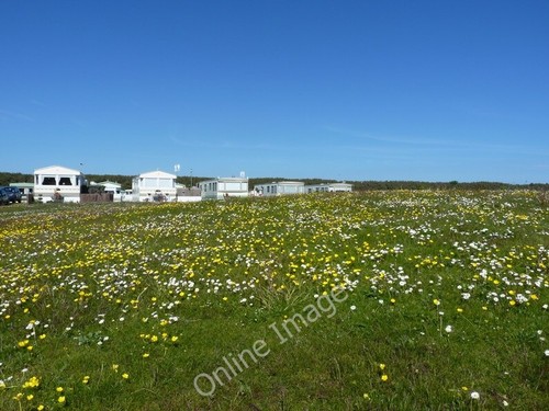 Photo 6x4 wildflowers - photo, wildflowers,