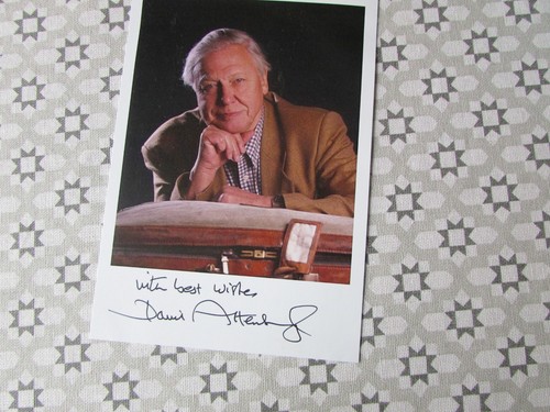 Sir david attenborough - sir,