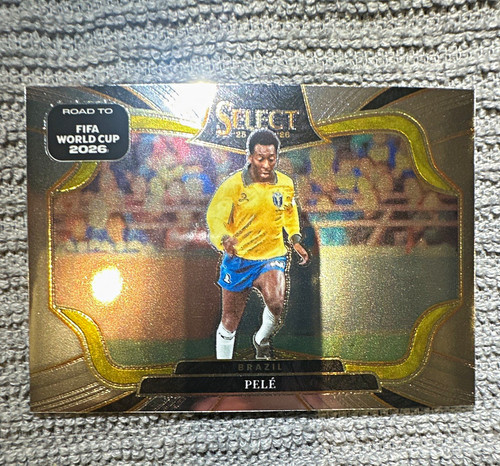 Panini select fifa 2024 - panini,
