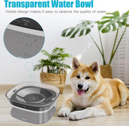 Spill dog water - water, 2l