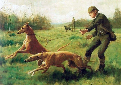 Greyhound dog greeting card - greyhound,