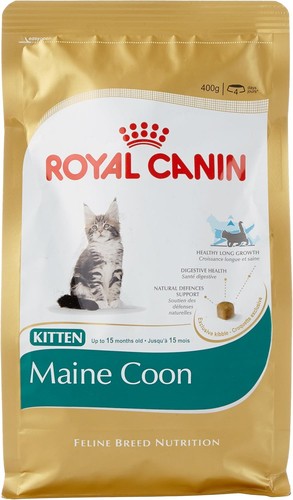 Royal canin kitten maine coon - royal,
