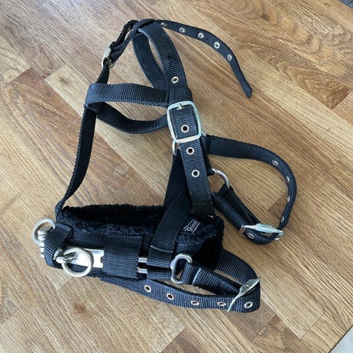 Shires lunging cavesson - lunging, pony