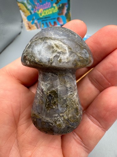 Crystal mushroom blue moss - crystal,