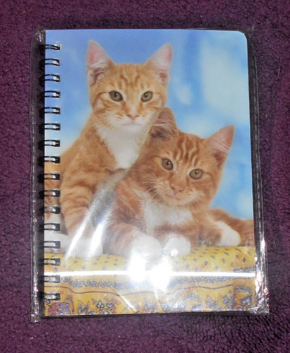 Ginger kittens notebook - ginger,