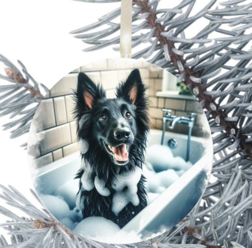 Belgian shepherd dog - belgian, hanging