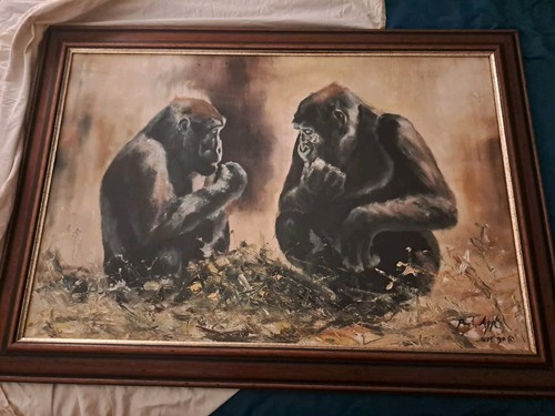 Paul apps lowland - apps,, gorillas