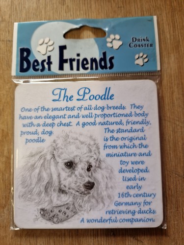 Miniature poodle coaster - poodle,
