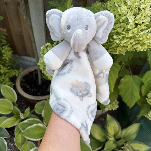 Blankets and beyond - and, elephant