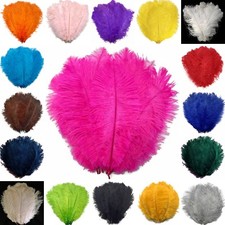 Ostrich Feathers - Extra Large 50cm -60cm / 20" - 24" Pick Quantity / 23 Colours
