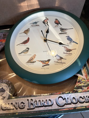 Vintage singing bird wall - vintage,