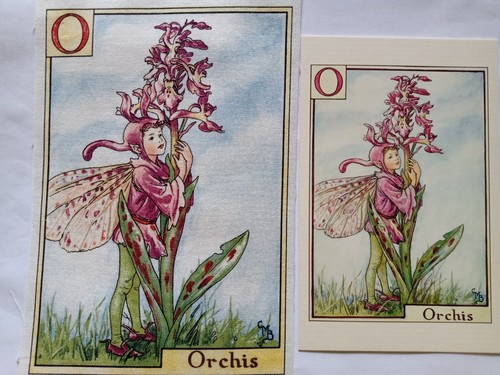 Orchis alphabet flower - alphabet,