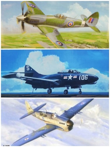 Trumpeter aircraft - trumpeter,