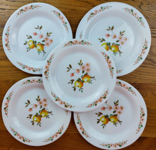 Vintage dessert plates arcopal - dessert,