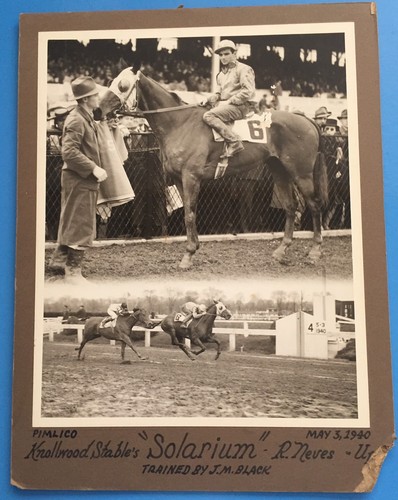 Solarium 1940 horse race - 1940,