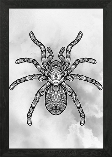 Tarantula framed wall - wall, art