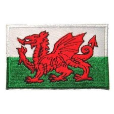 Martial Arts Embroidered