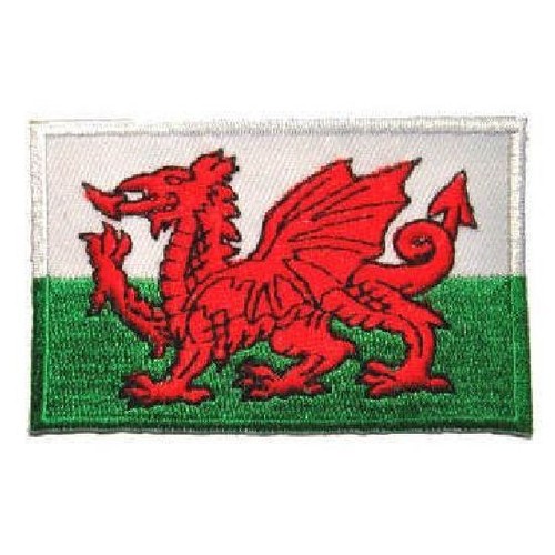 Martial arts embroidered - arts,