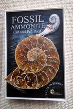 British Fossils Cut & Polished Ammonite 110 Million Years Old, in case