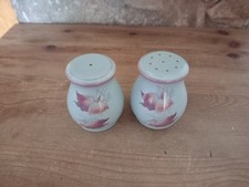 Denby Twilight Salt & Pepper Pots Cruet  Shaker Set