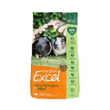 Burgess excel guinea pig - excel,