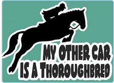 Horsebox Decal My Other Car is