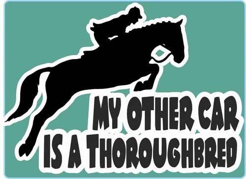 Horsebox decal other car is - decal, my