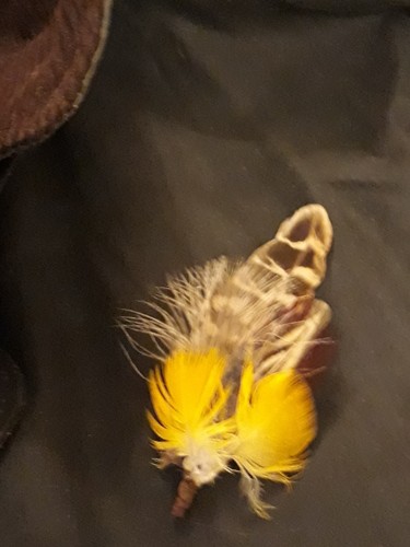 Feather lapel pin - feather, pin/brooch.
