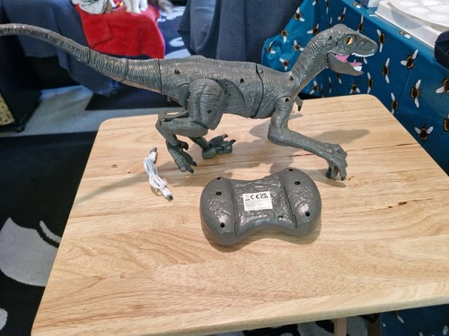 Remote control dinosaur - remote,